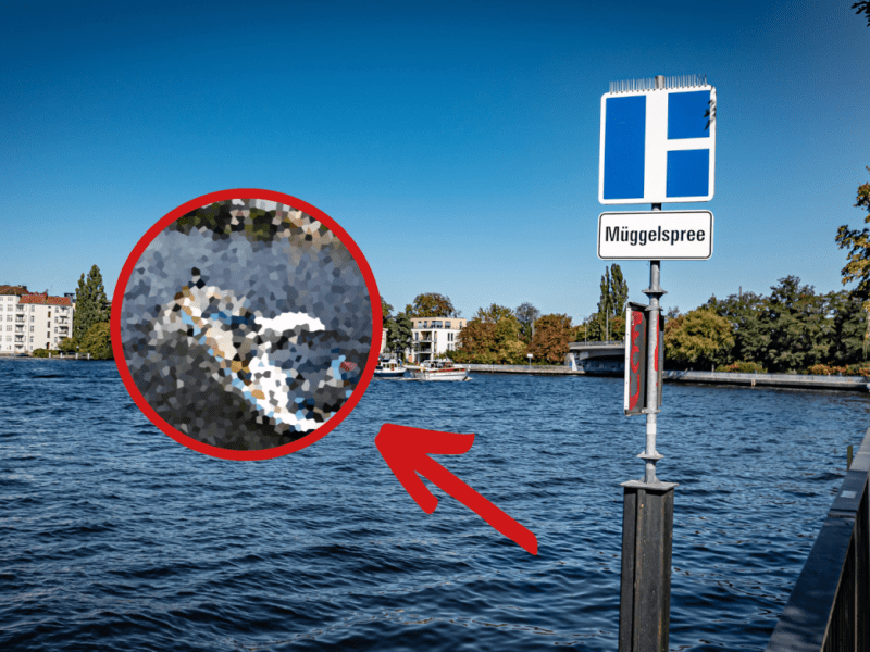 Die Elsa war lange nicht mehr bei den Anwohnern der Müggelspree