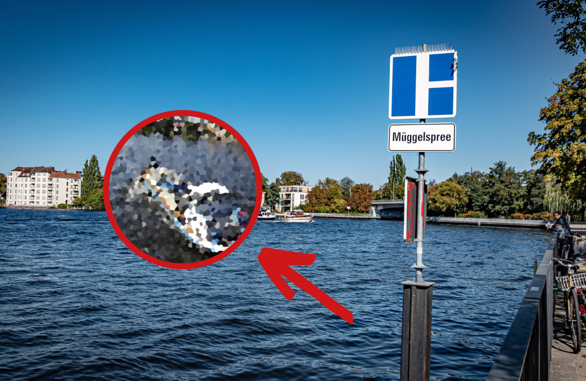 Die Elsa war lange nicht mehr bei den Anwohnern der Müggelspree