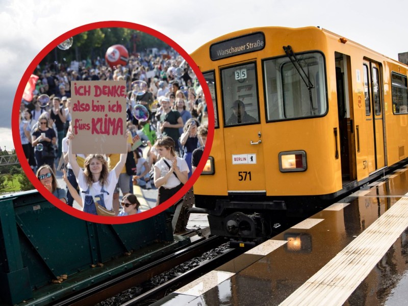 BVG