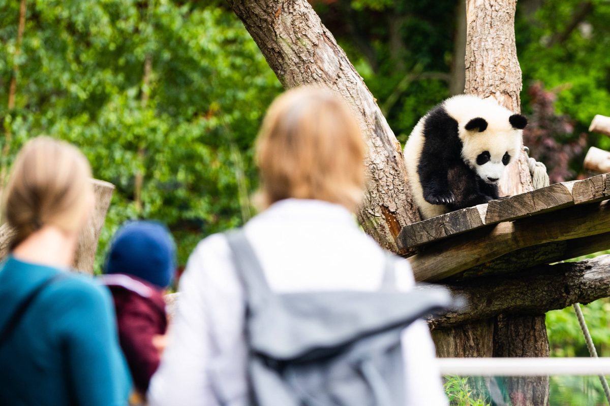 Zoo und Tierpark Berlin