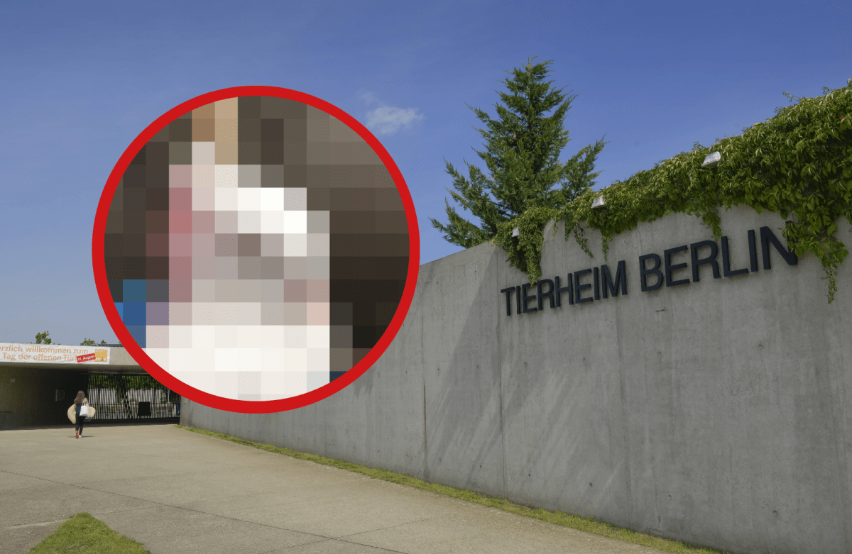 Tierheim Berlin