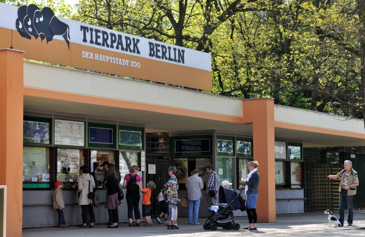 Tierpark. Zoo. Berlin. Attraktion.
