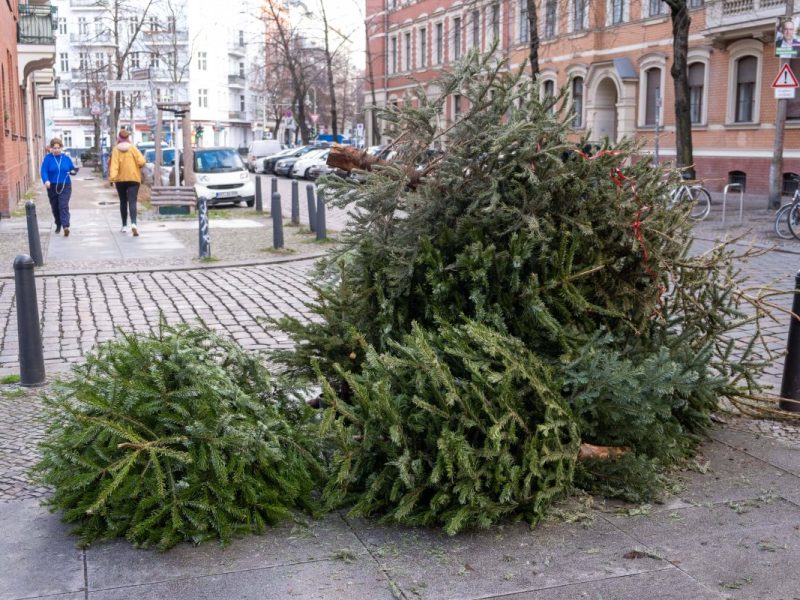 Ausgediente Weihnachtsbäume liegen nach Weihnachten in Berlins Straßen herum.