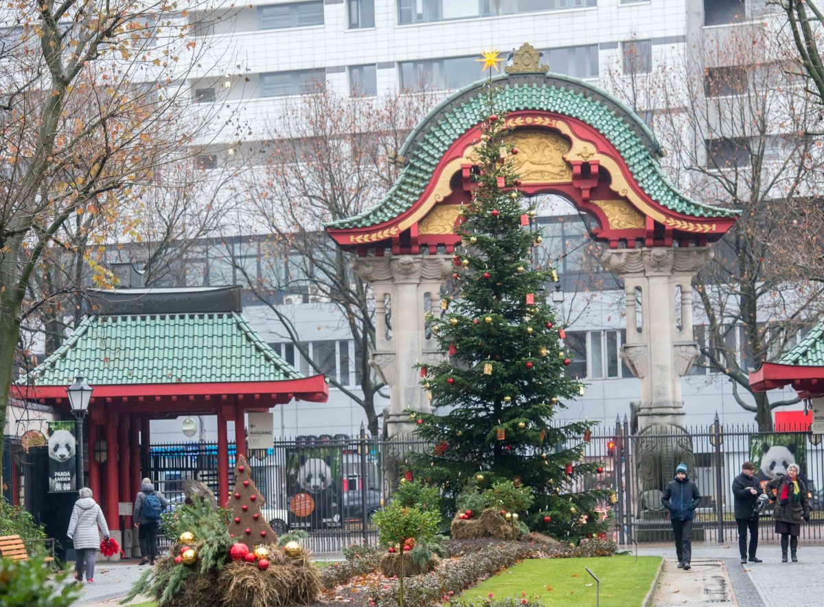 Berlin 24.12.22 Zoologischer Garten Berlin