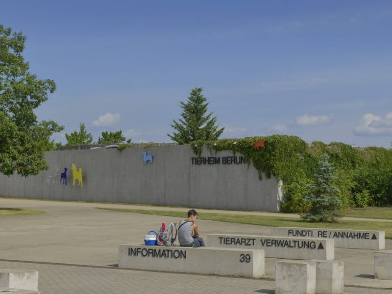 Tierheim Berlin