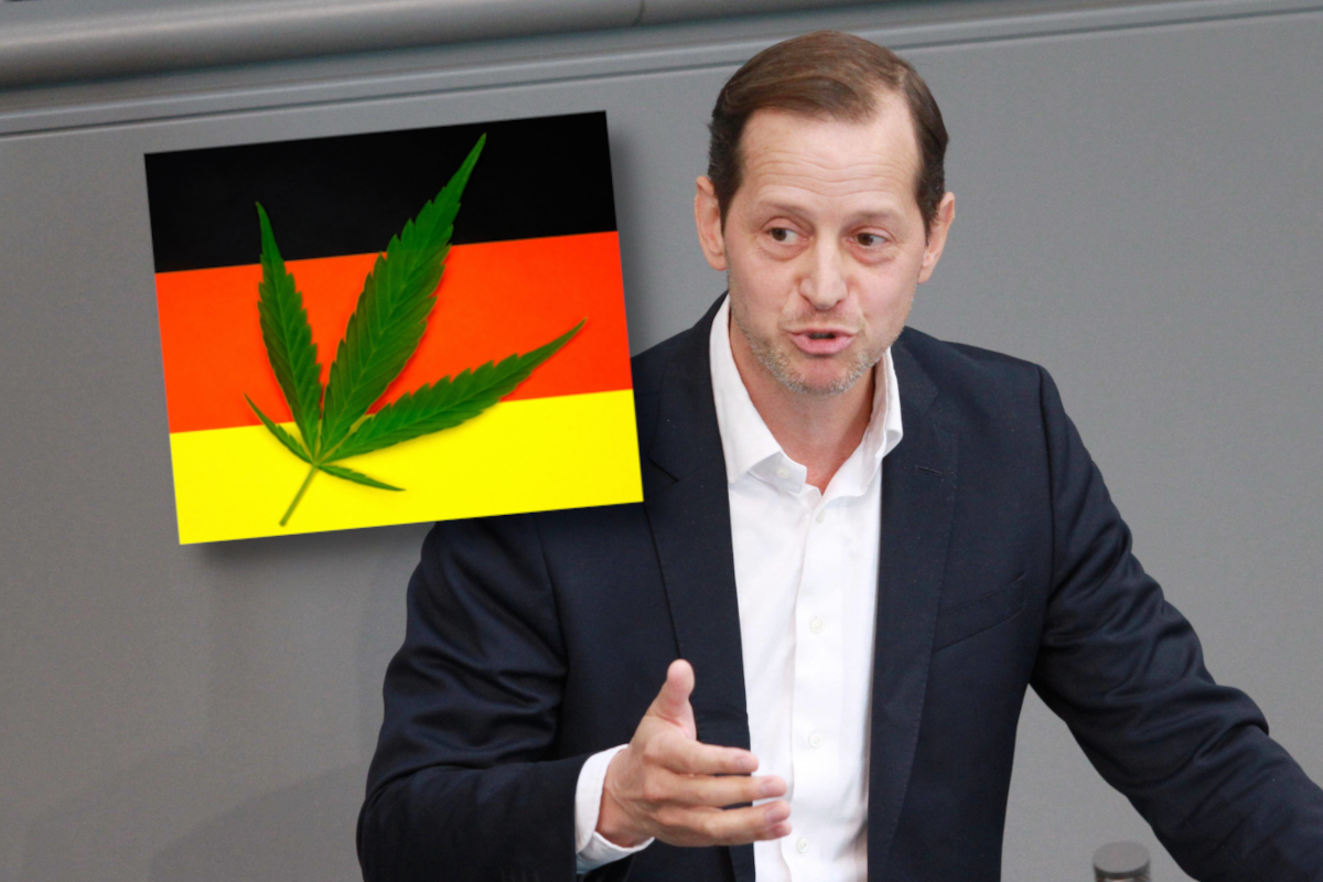 AfD im Bundestag: Einer stimmte fÃ¼r Cannabis-Legalisierung.