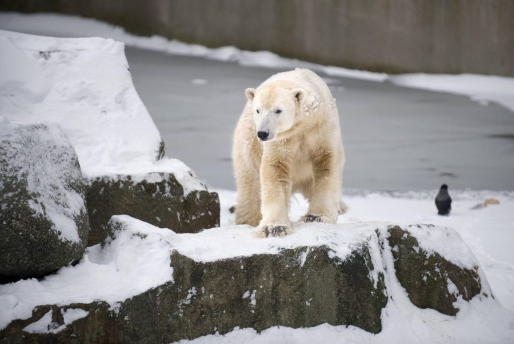 Zoo Berlin