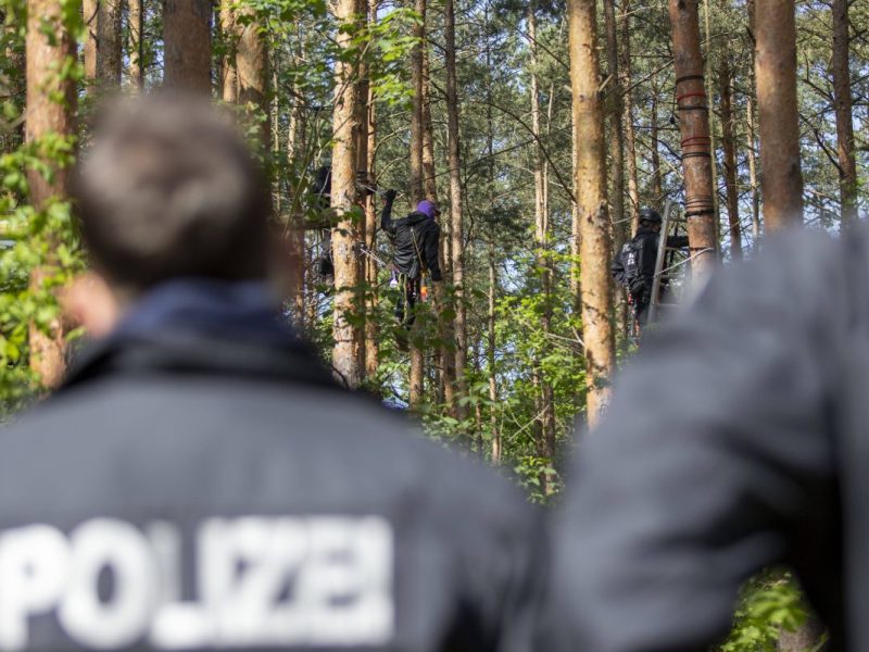Viele Menschen in Berlin sind alarmiert wegen eines Vorhabens des Senats (Bild einer Besetzung der Wuhlheide in 2023)