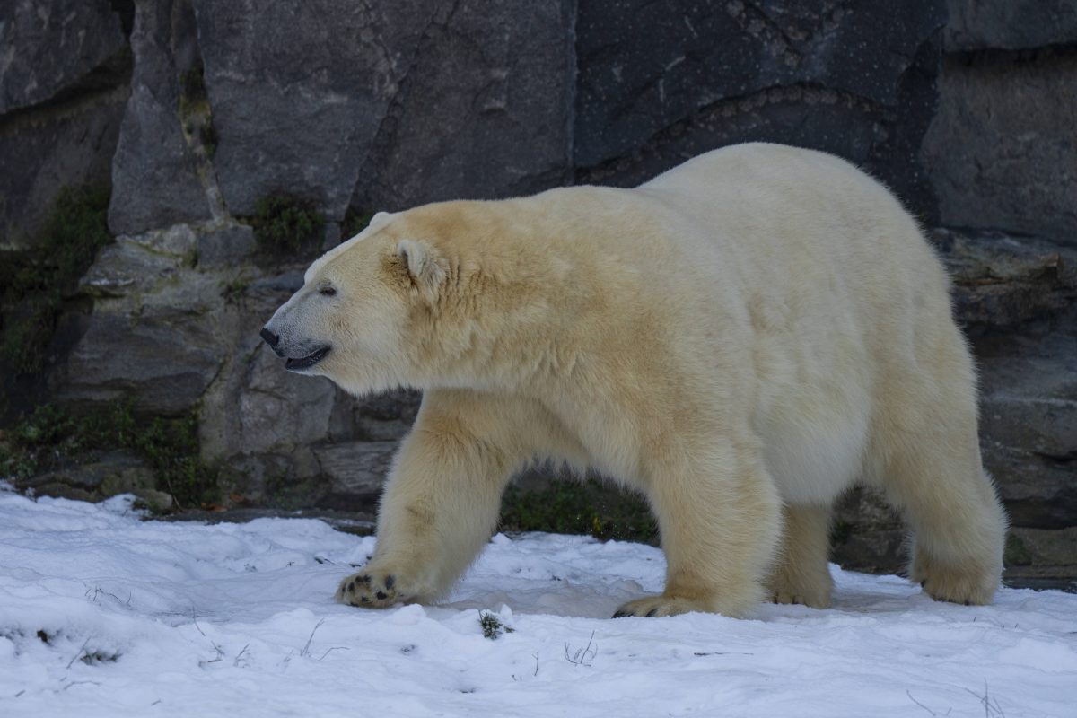 Tierpark Berlin