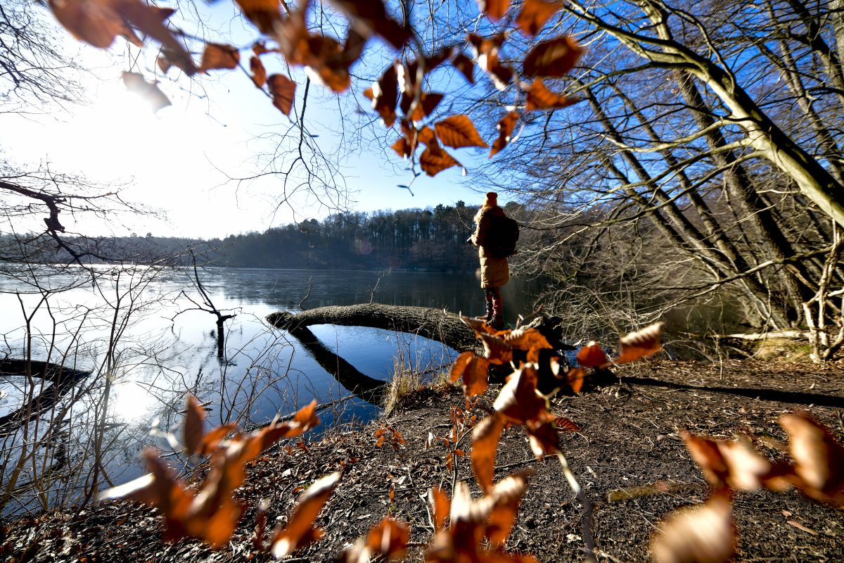 Das Wetter in Berlin & Brandenburg wird am Samstag sonnig!