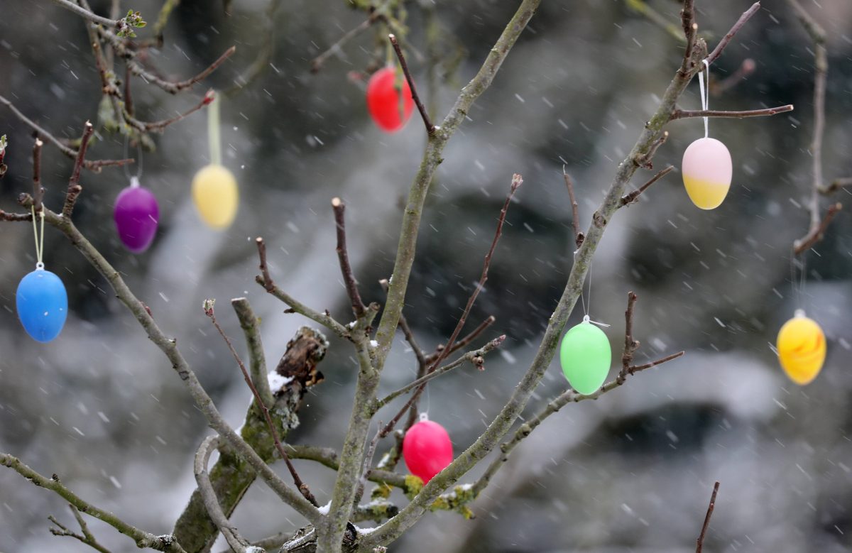 Wetter in Berlin und Brandenburg