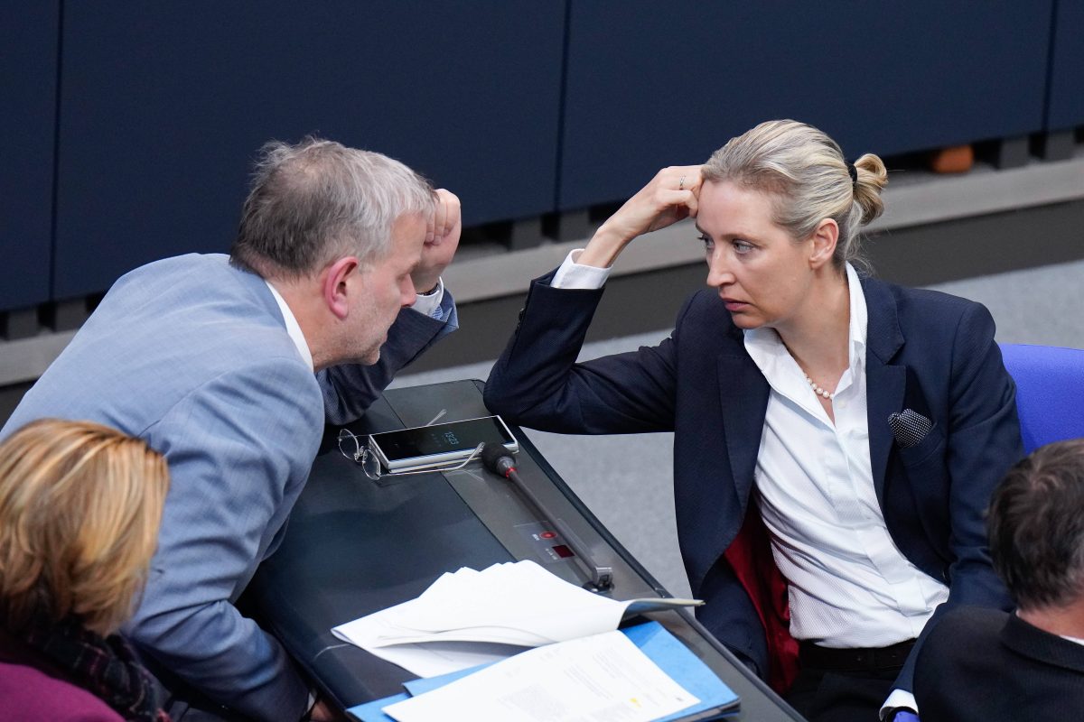 Neue Enthüllung über die AfD-Fraktion im Bundestag.