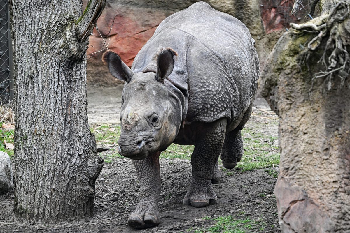 Zoo Berlin