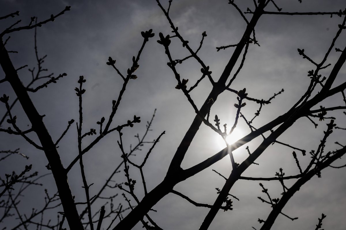 Wetter in Berlin & Brandenburg