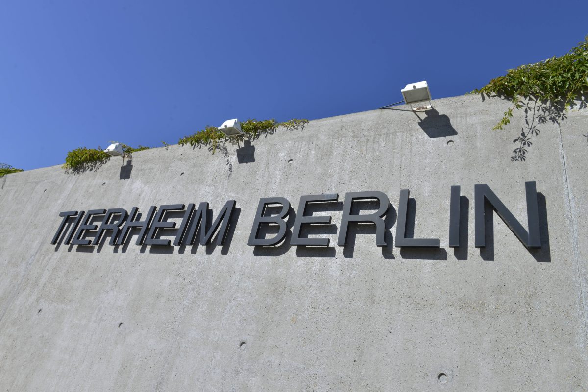 Tierheim Berlin