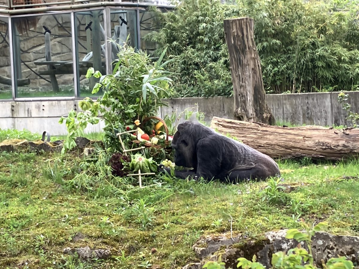 Zoo Berlin