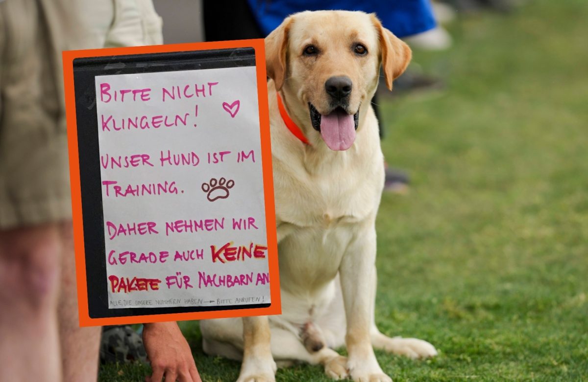 Hunde