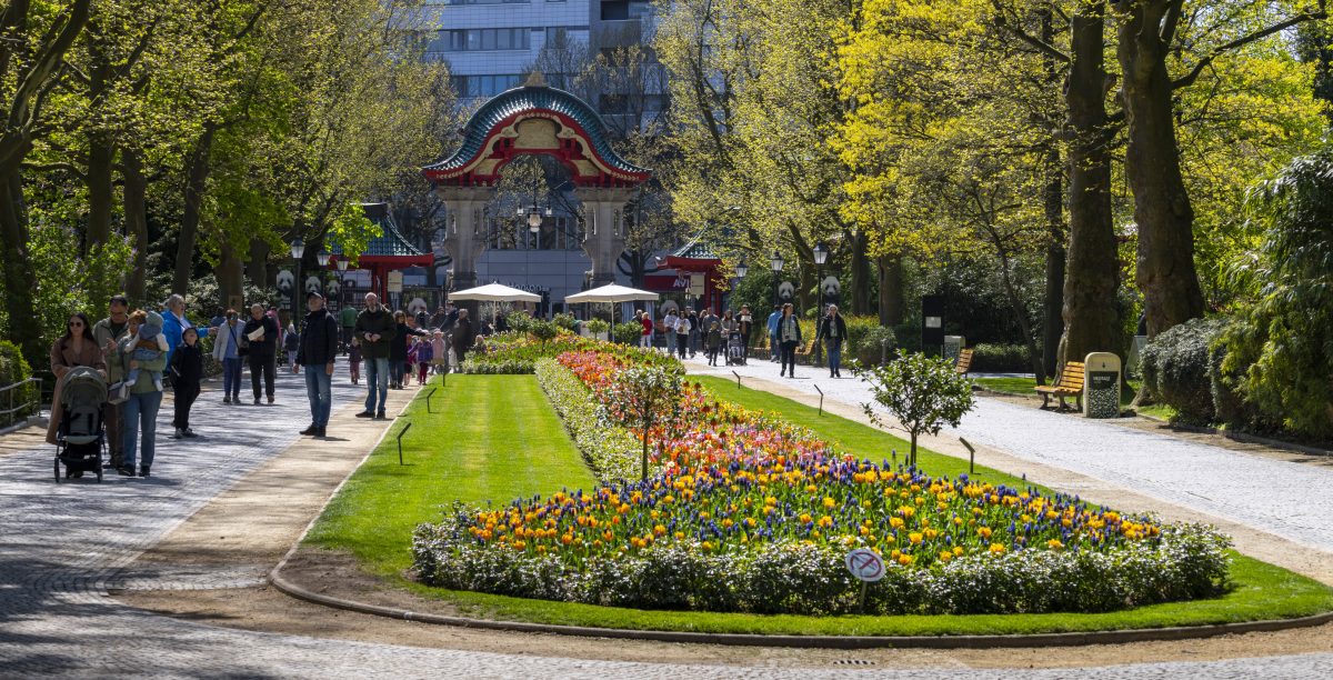 Zoo Berlin