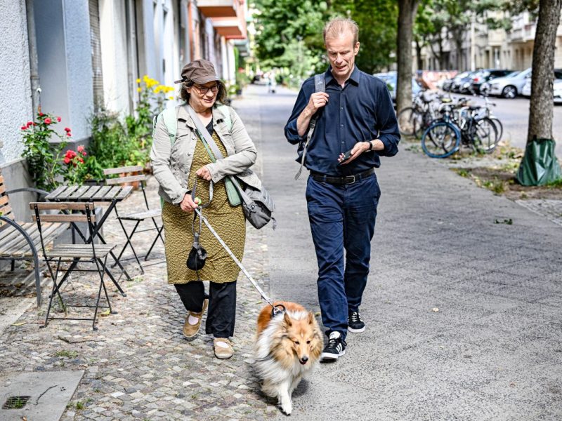 Hunde in Berlin