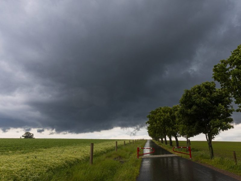 Wetter in Berlin & Brandenburg