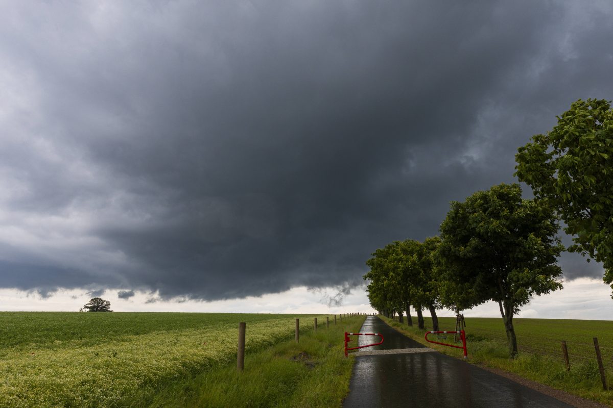 Wetter in Berlin & Brandenburg