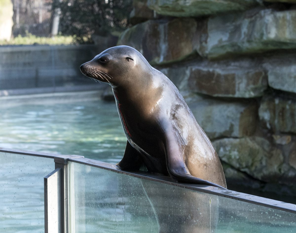 Zoo Berlin