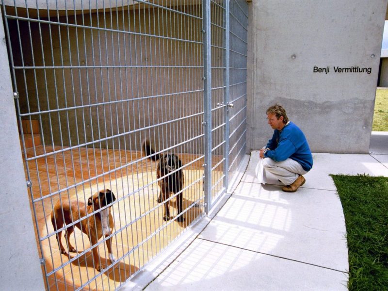 Tierheim Berlin