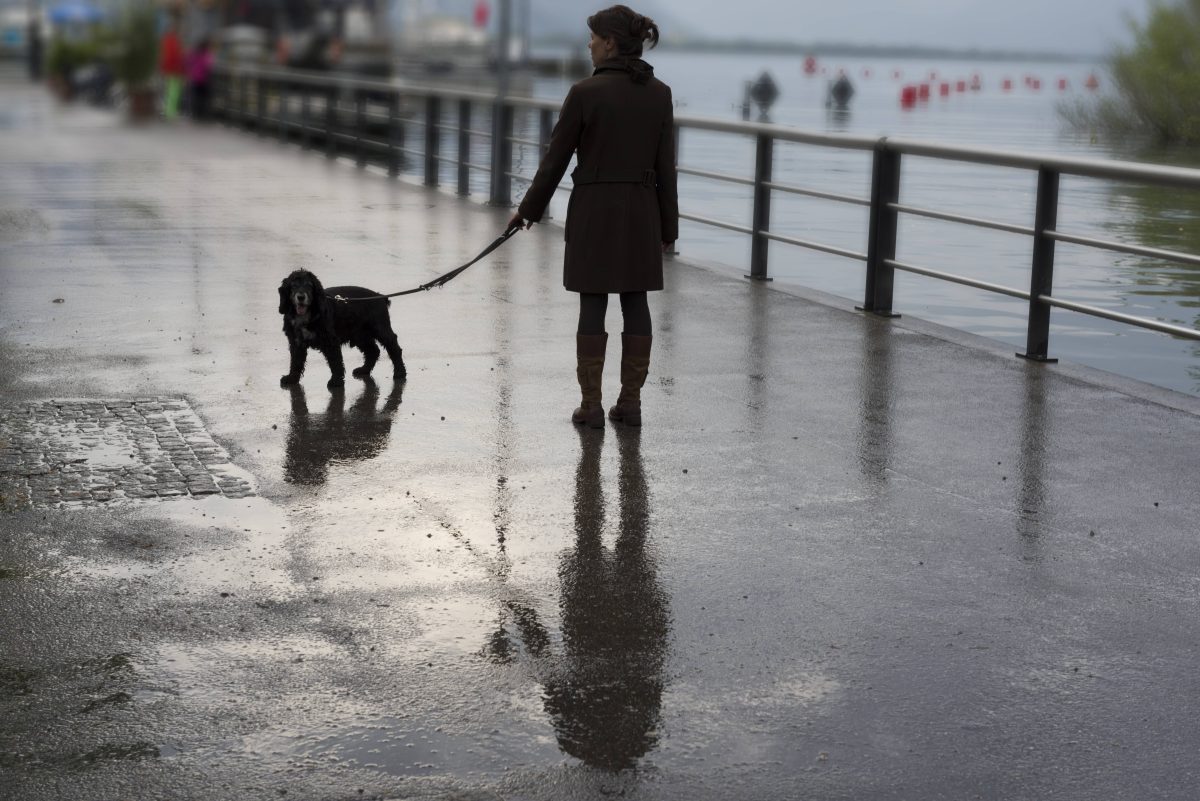 Wetter in Berlin & Brandenburg