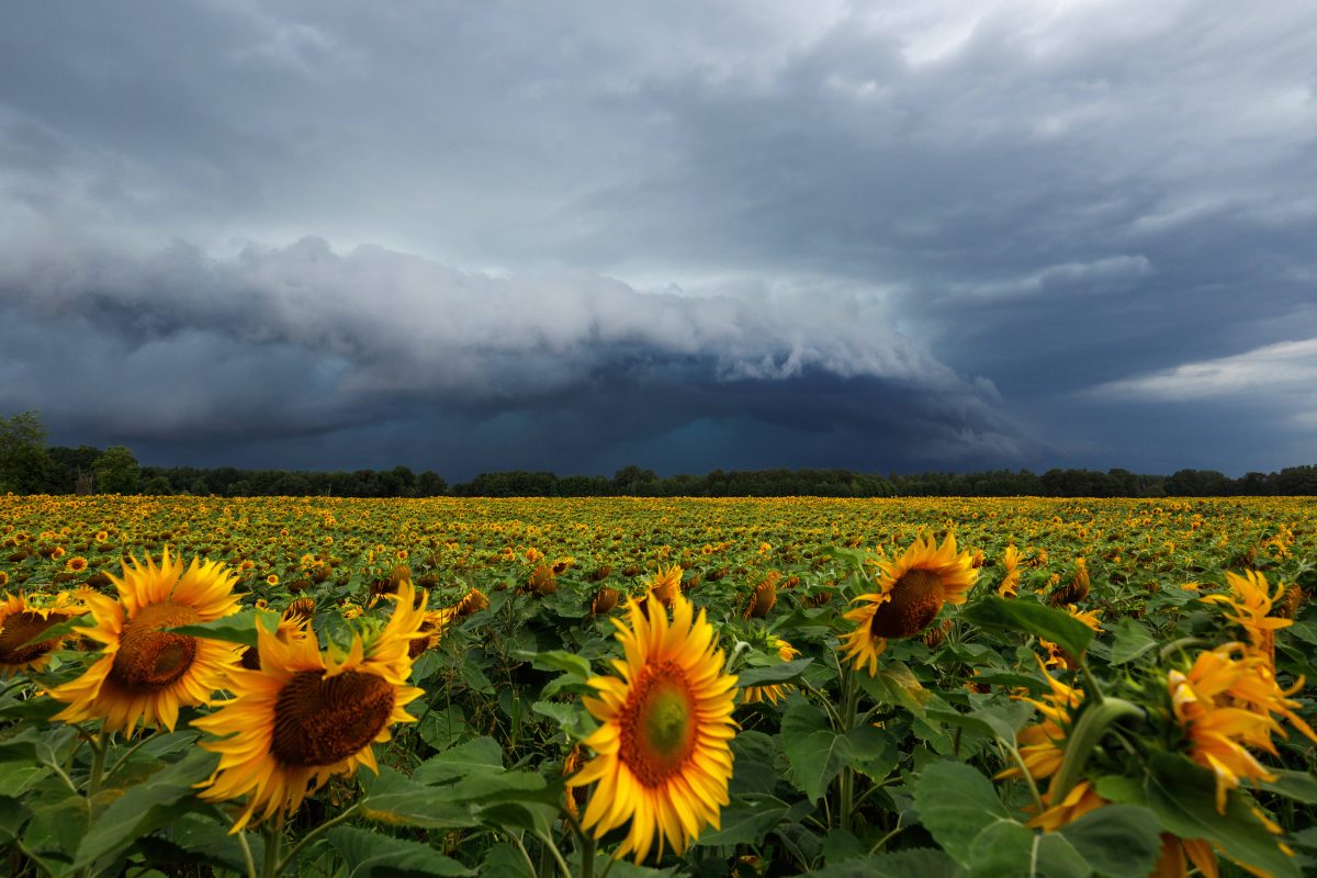 Wetter in Berlin & Brandenburg