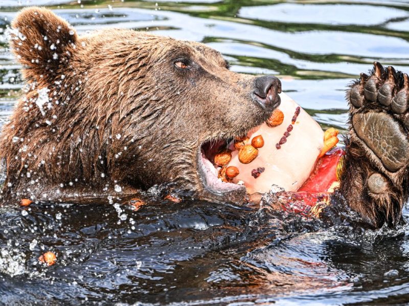 Zoo Berlin