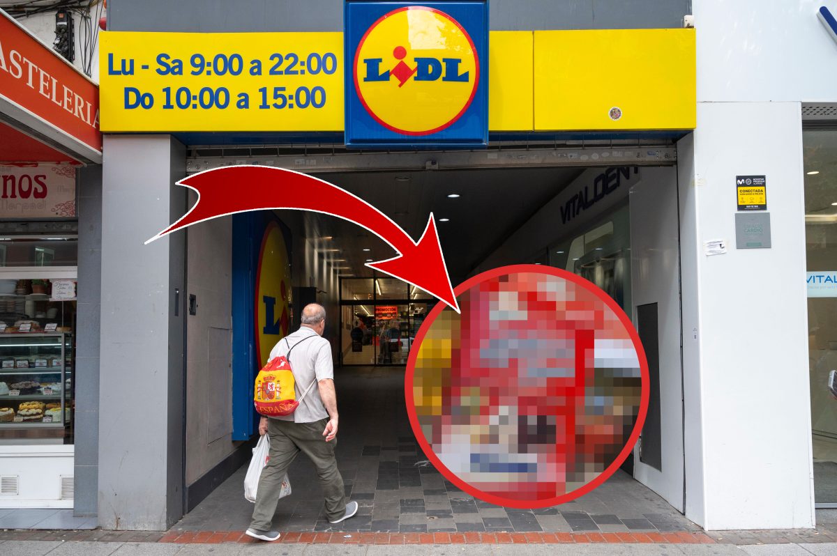 lidl halloren