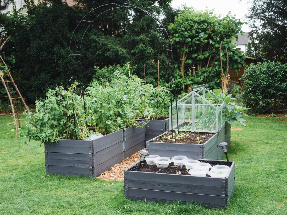 Bußgeld im Garten wegen Schnecken