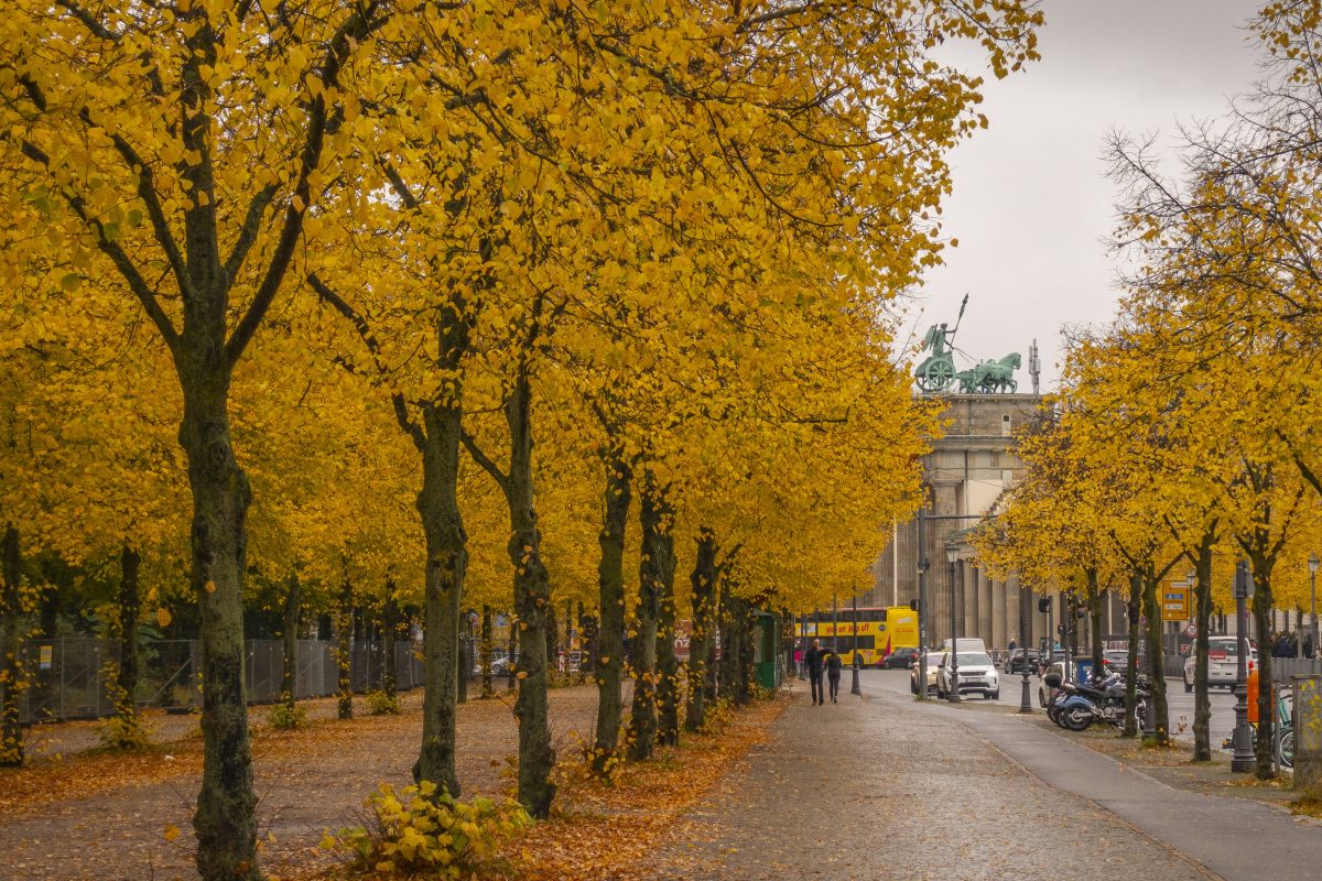 Wetter in Berlin & Brandenburg