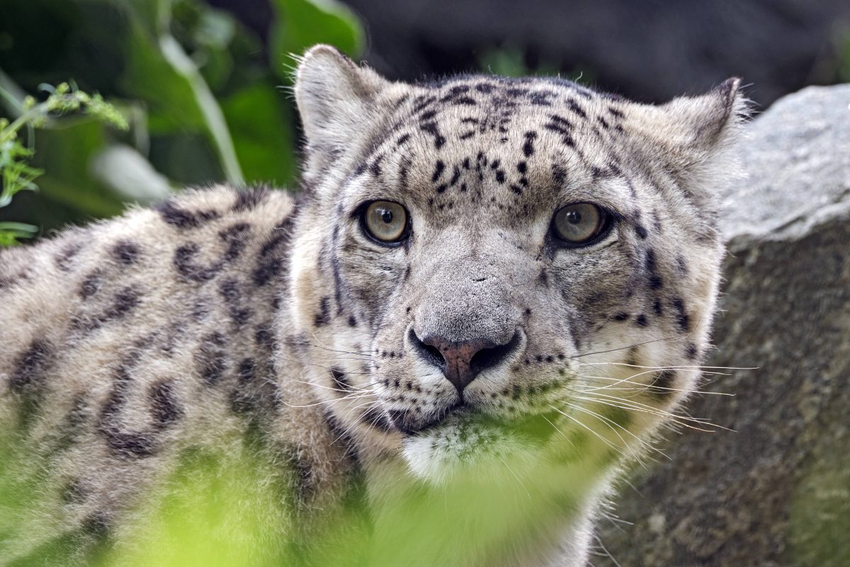 Tierpark Berlin