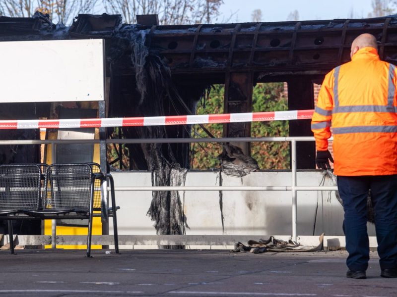 Am Bahnhof der S-Bahn Berlin in Ahrenfelde brannte am Samstag (2. November) ein Regionalzug vollkommen aus.