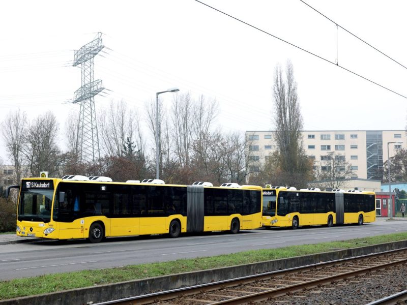 BVG