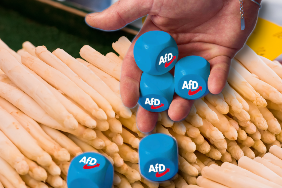 AfD in Brandenburg