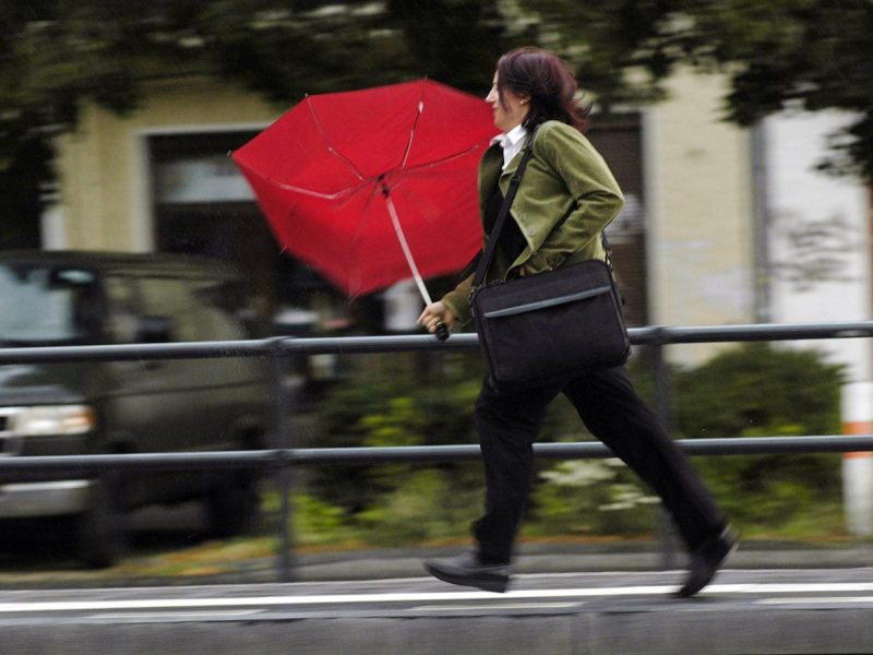 Wetter in Berlin & Brandenburg