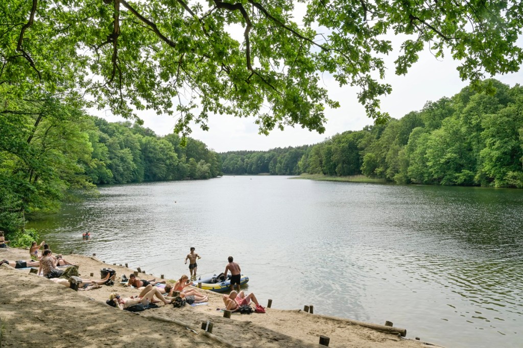 Badestelle mit Sand am See umgeben von Wald