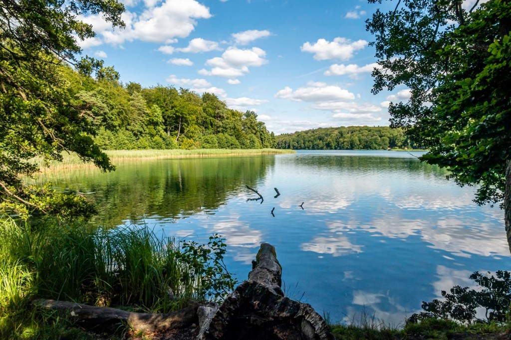 Blauer Himmel und weiße Wolken spiegeln sich im Wasser des See, drum herum grüner Wald.