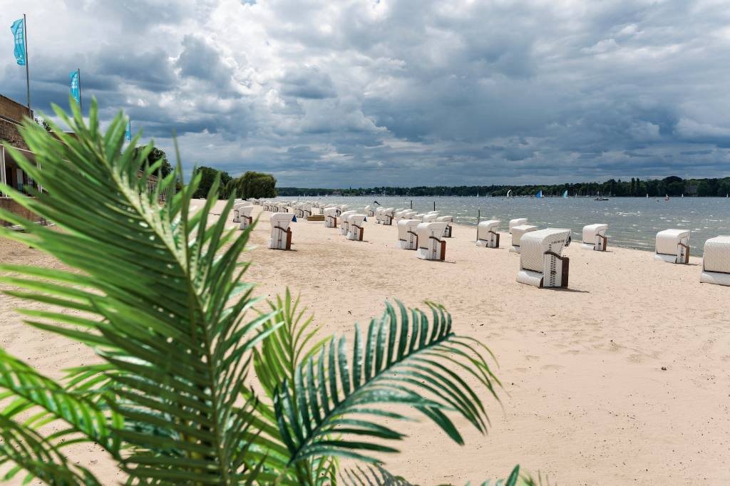 Strand mit Strandkörben und Palme